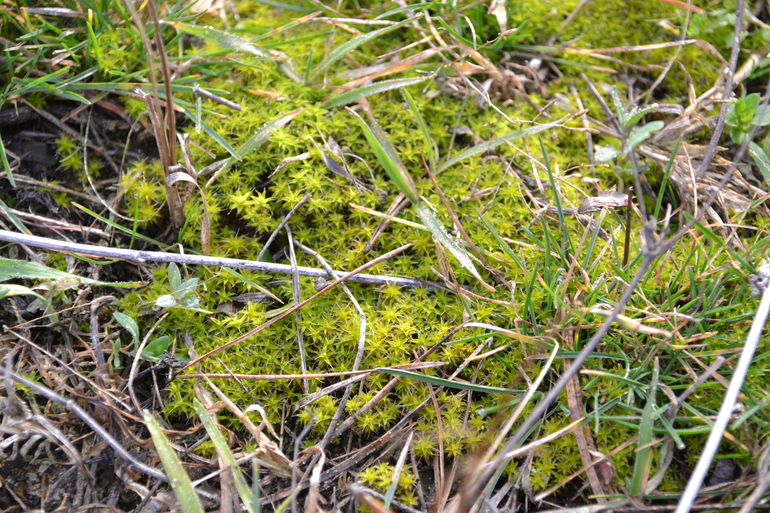 О погоде и природе