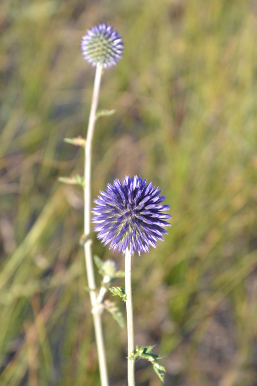b538ed883a9edb3ec712a33ac03f8035.jpg