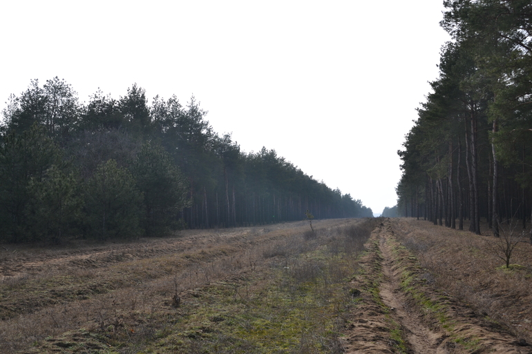 О погоде и природе