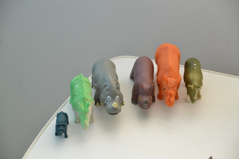 Директор зоопарка