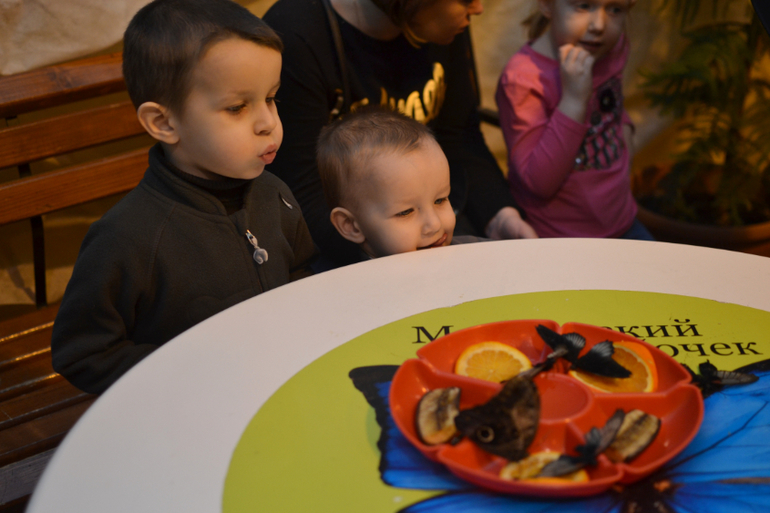 Московский Дом Бабочек