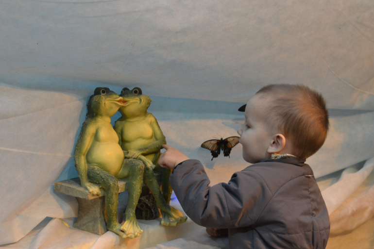 Московский Дом Бабочек