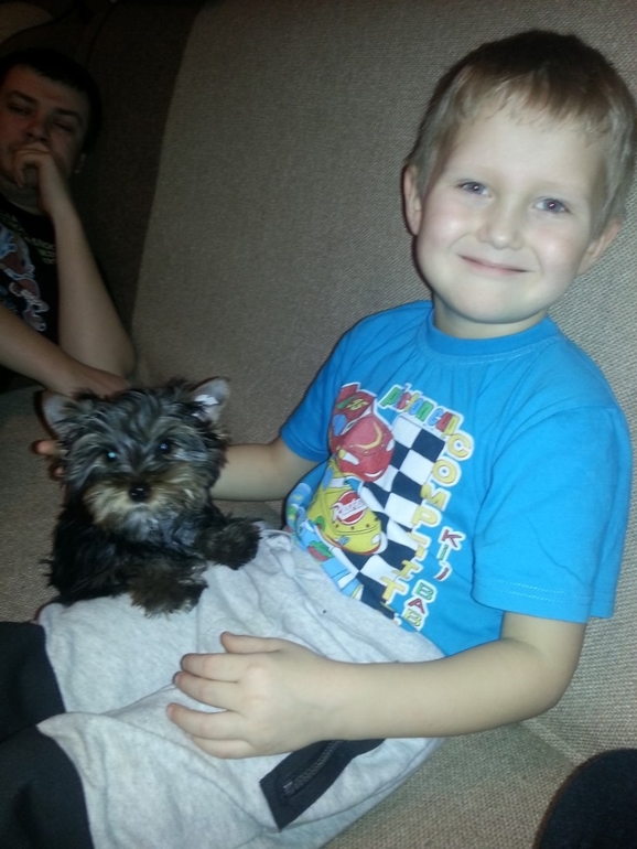 У нас появился еще один сынок...