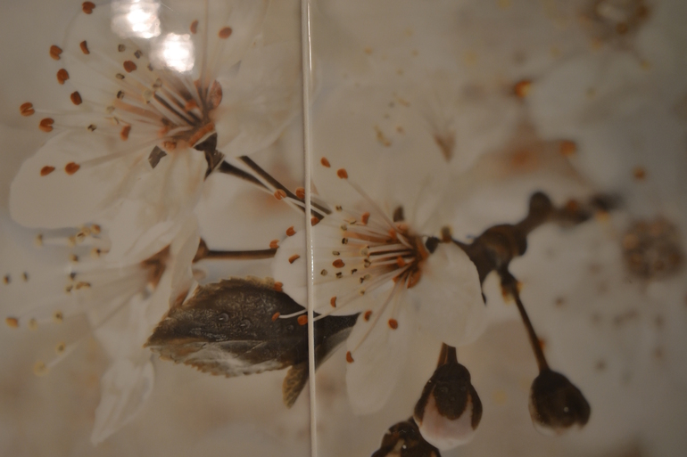 Туалет -моё новоселье!!