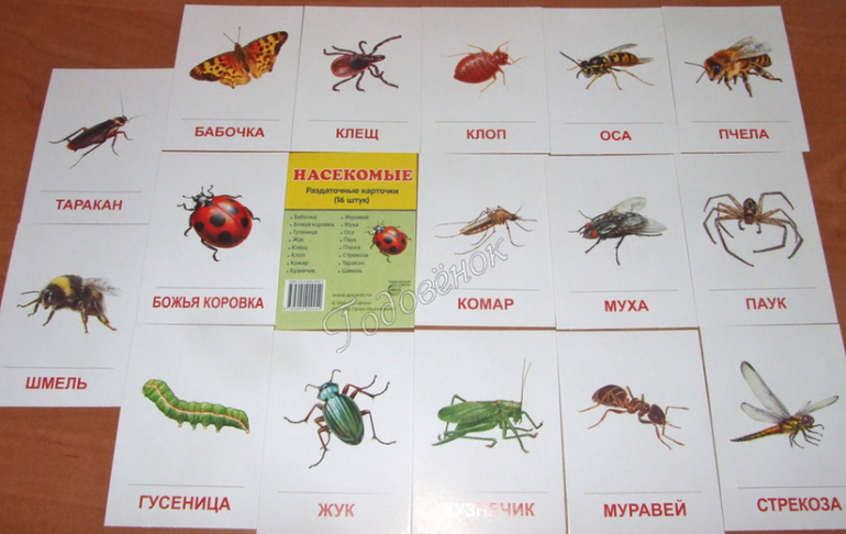 Стих на английском языке по темам Стих на английском языке по темам