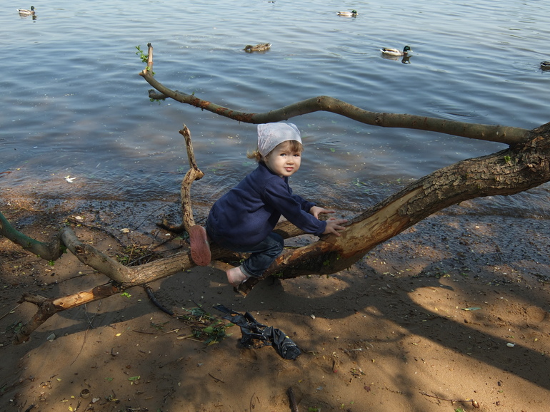 Очередная прогулка