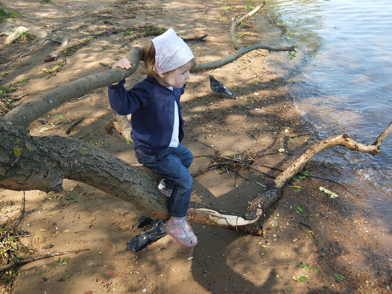 Очередная прогулка