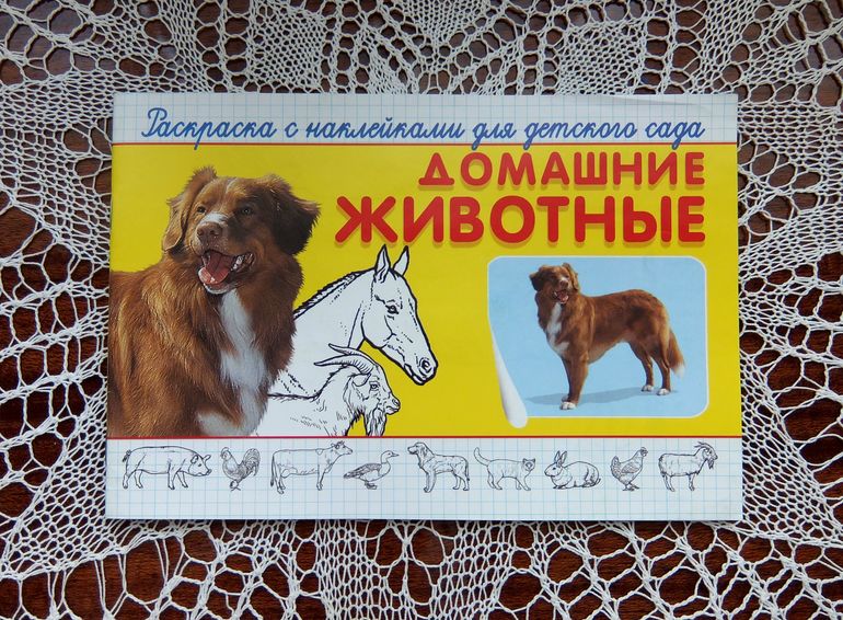 В дорогу... 2,5 года