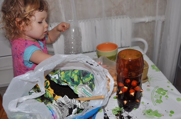 Весна на подоконнике - 3