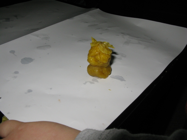 Лепка. Животные.