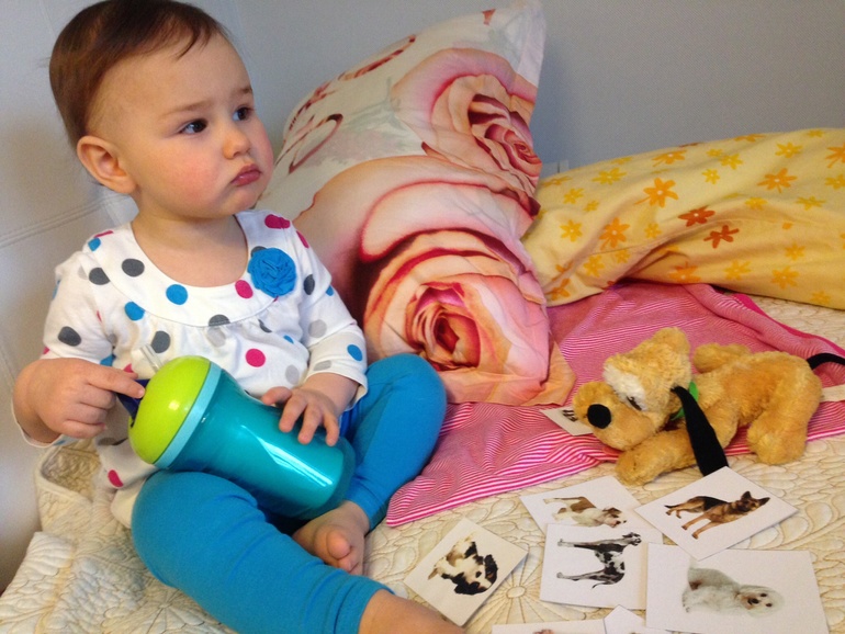 ТН Котенок и Щенок - День 2 'Собаки'