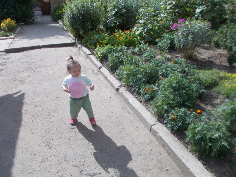 Наша хитрая лисичка)))