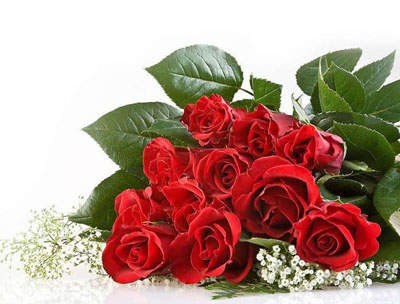 Выпускницы ЯНВАРЯ!