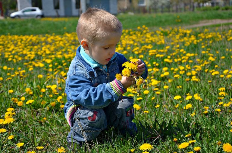 Зачем строить дом??? (с фото)