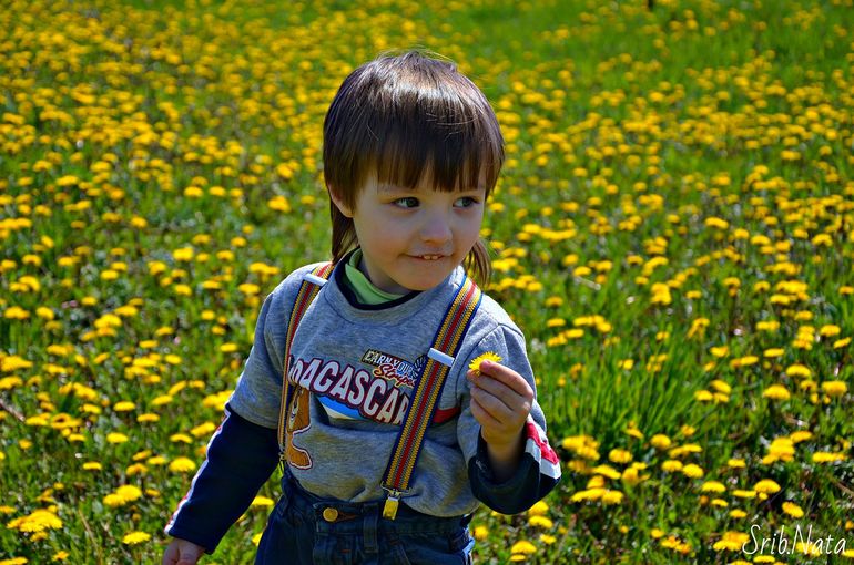 Зачем строить дом??? (с фото)