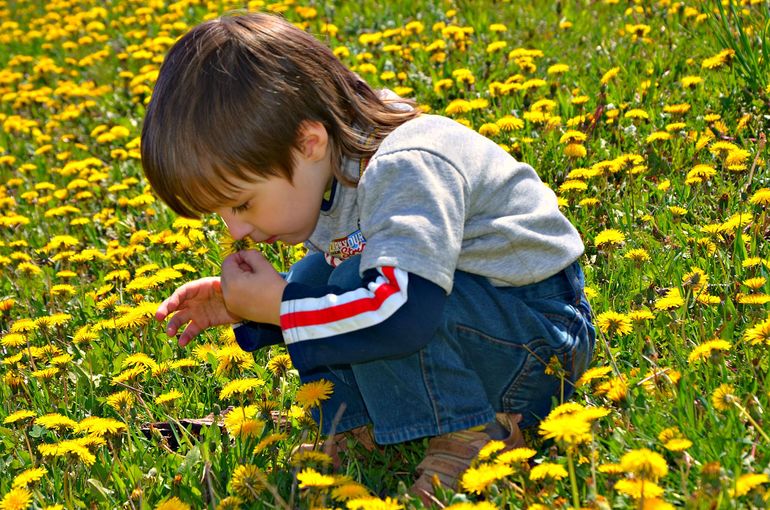 Зачем строить дом??? (с фото)