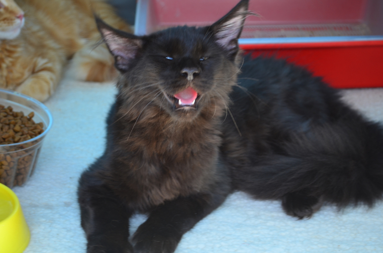 Феерверк Добра. Фотоотчет.