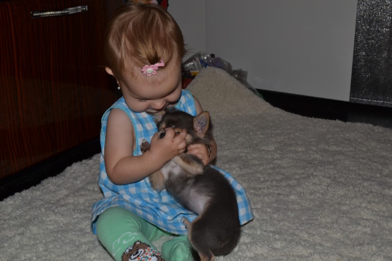 А у нас уже  косички))))