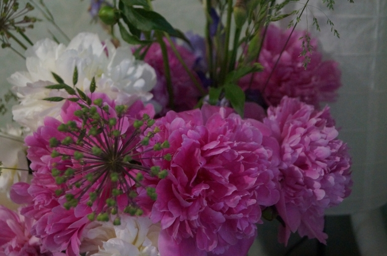 Полет фантазии