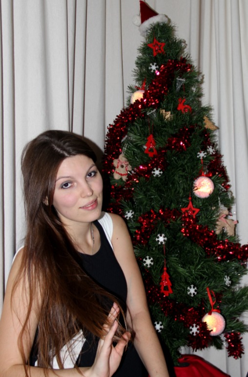 Встречаем Новый Год 2014