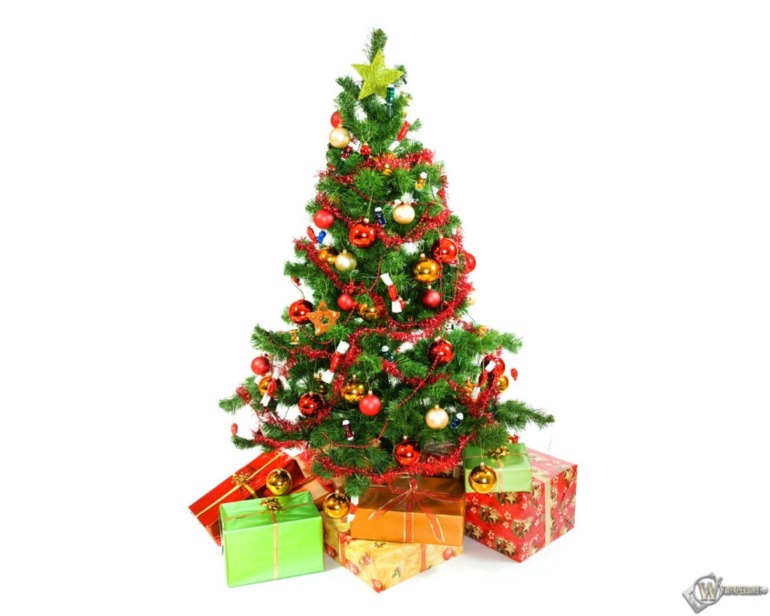 Цикл занятий