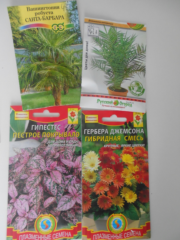 Накупила семян комнатных многолетников ...