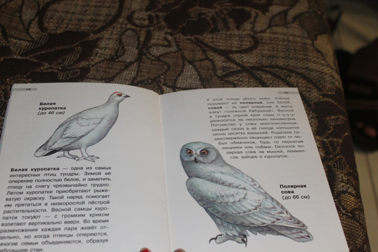 Пока просто хвастаюсь подробно напишу позже)