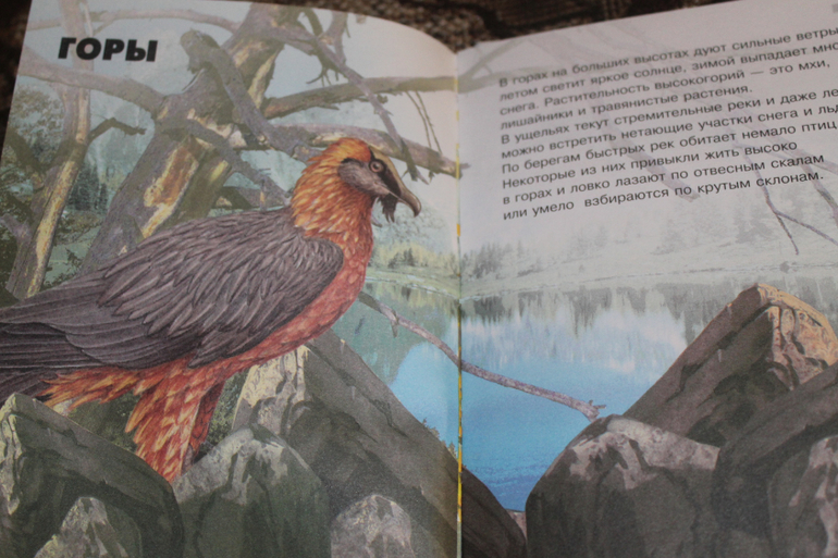 Пока просто хвастаюсь подробно напишу позже)