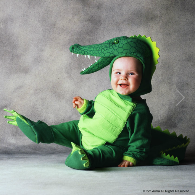 Пожалуйста, спасите животных