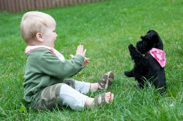 Воображалки