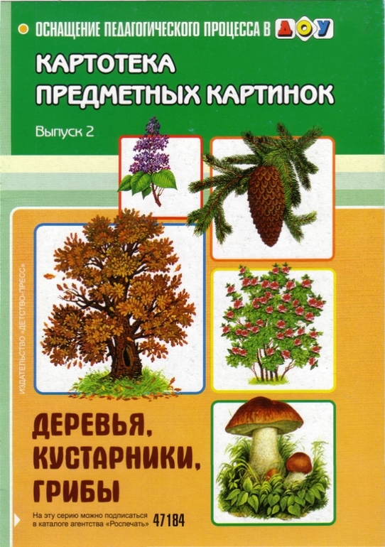 Дидактические карточки