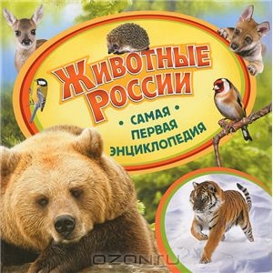 самая первая энциклопедия