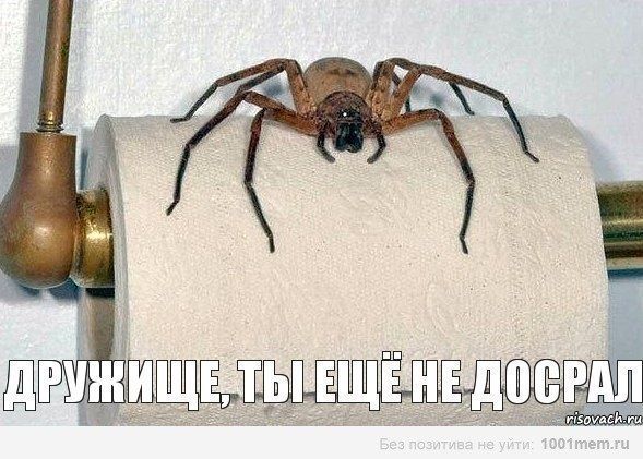Минутка юмора:) Возможно, под баянчик:)