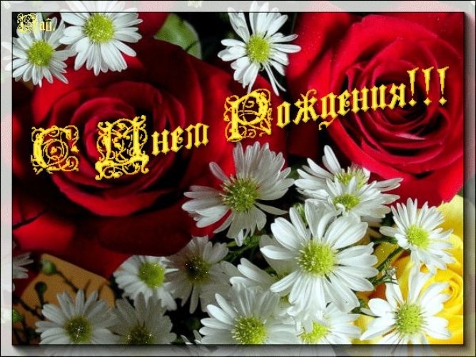 Иришка, с Днем Рождения!!!