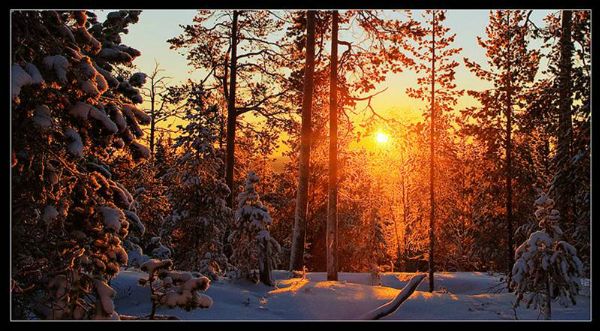 Почему Солнце светит и греет?