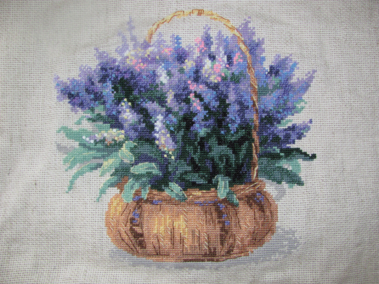 Совместник Риолис. ГАЛЕРЕЯ!!!