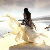 Совместник РИОЛИС. 6 отчетный.