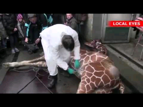 Я в шоке!!! Вы слышали?