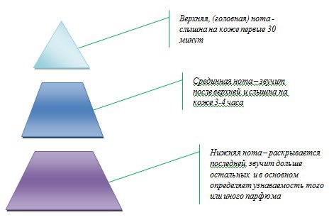 День 22 Ароматы