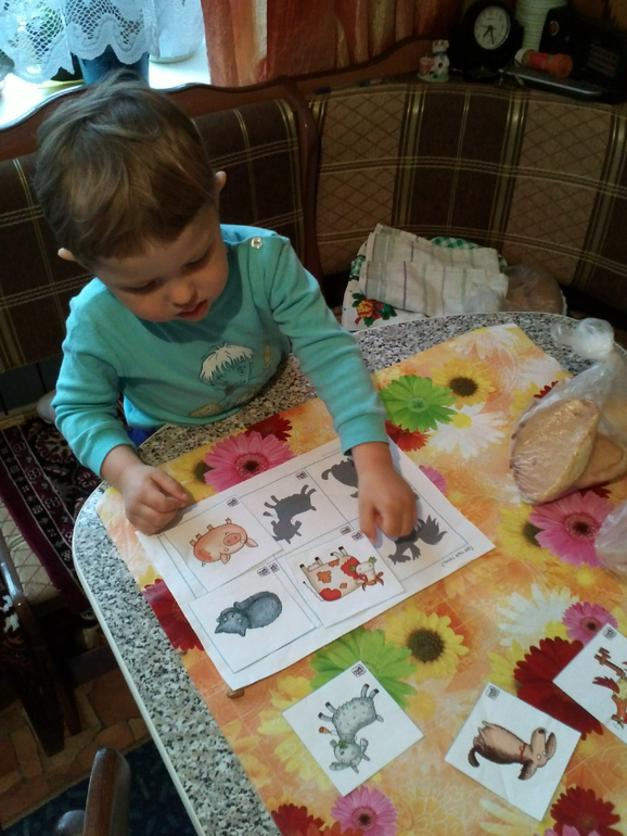 ТН "Домашние животные". День 1. Вводный