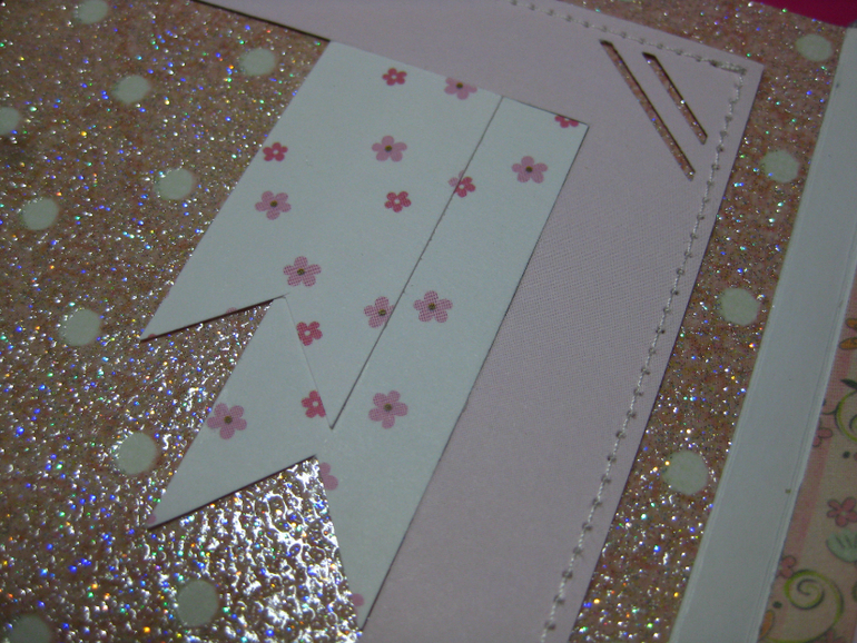 Мини-альбом первого года жизни Софии