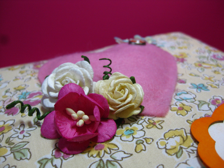 Мини-альбом первого года жизни Софии