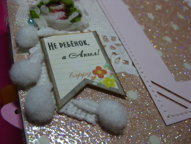 Мини-альбом первого года жизни Софии