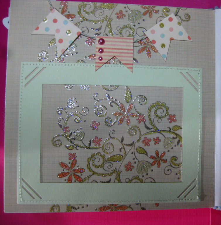 Мини-альбом первого года жизни Софии