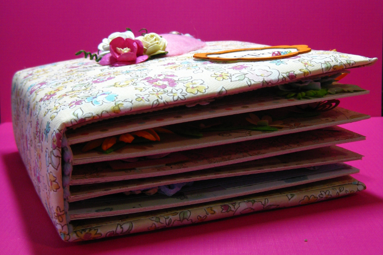 Мини-альбом первого года жизни Софии