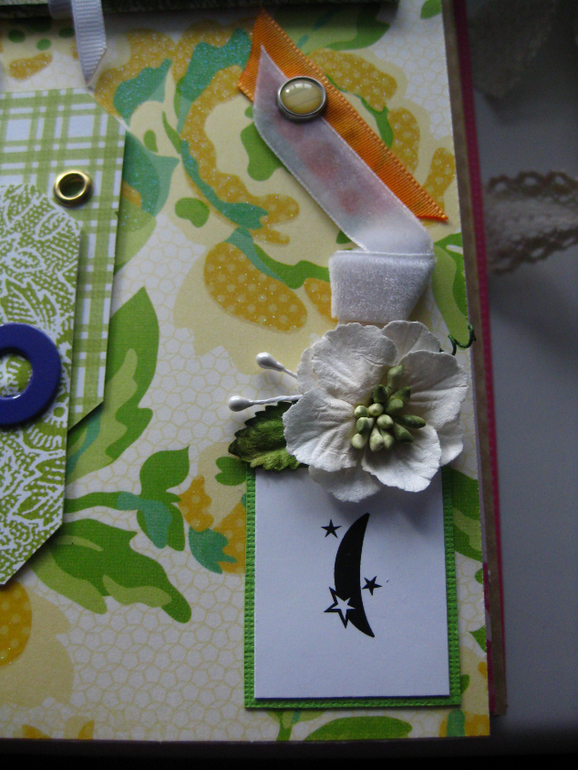 Альбом первого года жизни Алисы