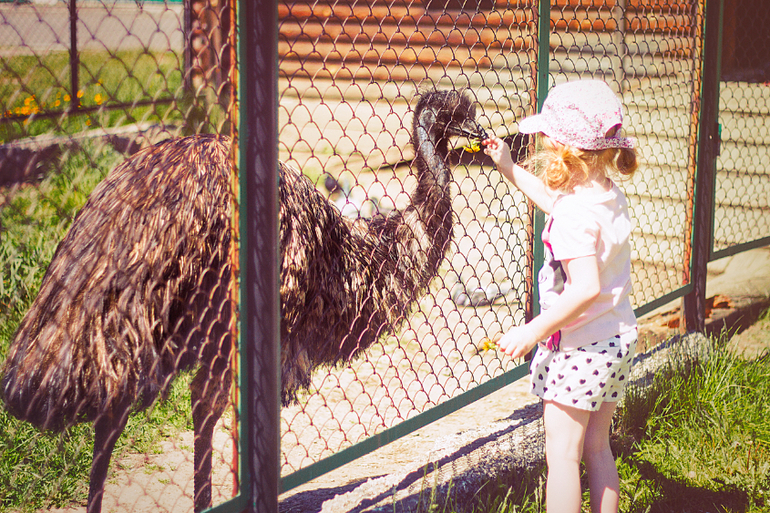 как к нам жара приходила (НАКОНЕЦ-ТО!!!)