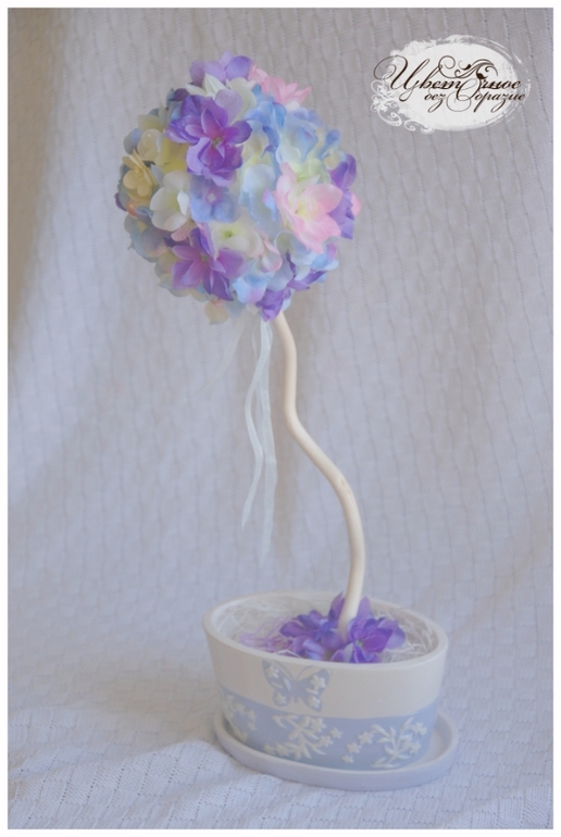 Мой первый топиарий