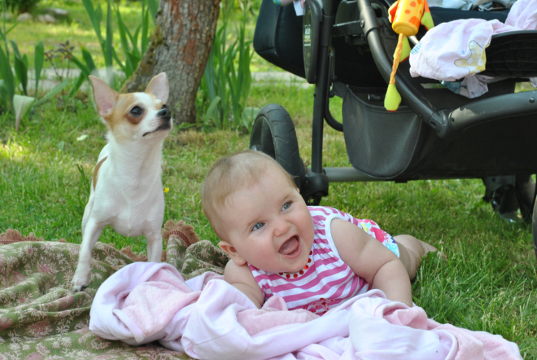 Как же я люблю лето!