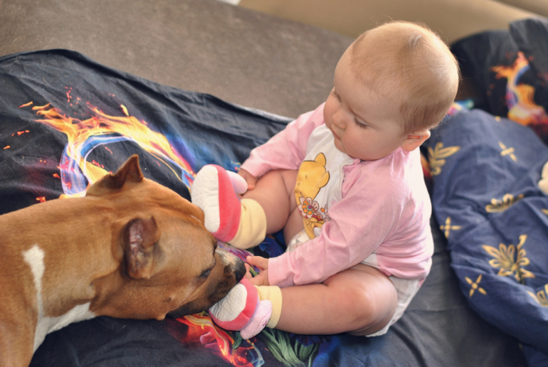 Вторая годовщина нашей свадьбы!